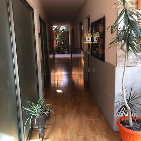 Casa Alejandra Apartman Antofagasta Kültér fotó